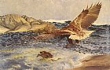 Bruno Liljefors A Sea Eagle Chasing Eider Duck painting